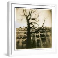 Urban Paris Landscape with Tree-Kevin Cruff-Framed Photographic Print