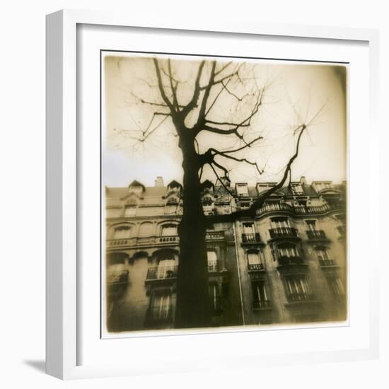 Urban Paris Landscape with Tree-Kevin Cruff-Framed Photographic Print