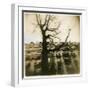 Urban Paris Landscape with Tree-Kevin Cruff-Framed Photographic Print