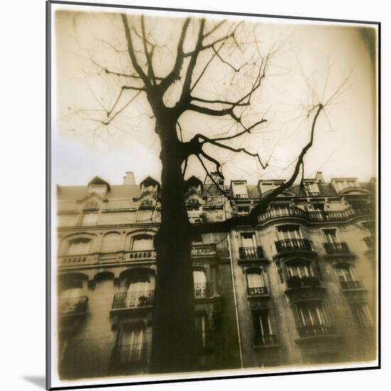 Urban Paris Landscape with Tree-Kevin Cruff-Mounted Photographic Print