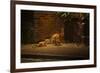 Urban Red Fox (Vulpes Vulpes) Adult Male and Cub on Street. West London UK-Terry Whittaker-Framed Photographic Print