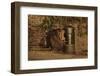 Urban Red Fox (Vulpes Vulpes) Cub Climbing into Litter Bin to Scavenge Food, West London, UK, June-Terry Whittaker-Framed Photographic Print