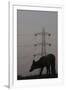 Urban Red Fox (Vulpes Vulpes) Silhouetted with an Electricity Pylon in the Distance-Geslin-Framed Photographic Print