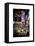 Urban Scene at Times Square, Advertising Views, Manhattan, New York, White Frame-Philippe Hugonnard-Framed Stretched Canvas