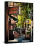 Urban Scene, Corner Bistro, Meatpacking and West Village, Manhattan, New York-Philippe Hugonnard-Framed Stretched Canvas