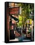 Urban Scene, Corner Bistro, Meatpacking and West Village, Manhattan, New York-Philippe Hugonnard-Framed Stretched Canvas