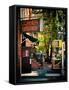 Urban Scene, Corner Bistro, Meatpacking and West Village, Manhattan, New York-Philippe Hugonnard-Framed Stretched Canvas