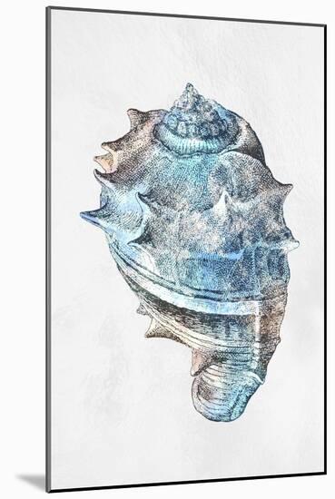 Urban Sea Shell 2-Marcus Prime-Mounted Art Print