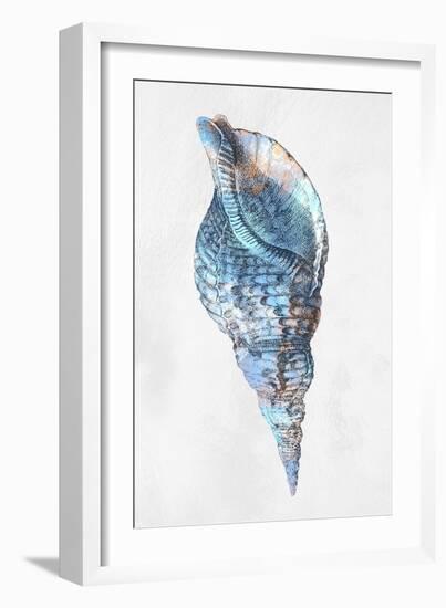 Urban Sea Shell 3-Marcus Prime-Framed Art Print