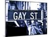 Urban Sign, Gay Street, Greenwich Village District, Manhattan, New York, Blue Light Photography-Philippe Hugonnard-Mounted Photographic Print
