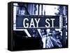 Urban Sign, Gay Street, Greenwich Village District, Manhattan, New York, Blue Light Photography-Philippe Hugonnard-Framed Stretched Canvas