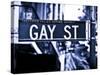 Urban Sign, Gay Street, Greenwich Village District, Manhattan, New York, Blue Light Photography-Philippe Hugonnard-Stretched Canvas