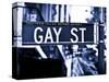 Urban Sign, Gay Street, Greenwich Village District, Manhattan, New York, Blue Light Photography-Philippe Hugonnard-Stretched Canvas
