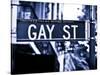 Urban Sign, Gay Street, Greenwich Village District, Manhattan, New York, Blue Light Photography-Philippe Hugonnard-Stretched Canvas