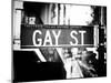 Urban Sign, Gay Street, Greenwich Village District, Manhattan, New York, Old-Philippe Hugonnard-Mounted Premium Photographic Print