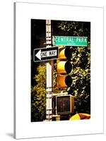 Urban Signs, Central Park, Manhattan, New York, United States, White Frame, Full Size Photography-Philippe Hugonnard-Stretched Canvas