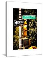 Urban Signs, Central Park, Manhattan, New York, United States, White Frame, Full Size Photography-Philippe Hugonnard-Stretched Canvas