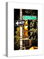 Urban Signs, Central Park, Manhattan, New York, United States, White Frame, Full Size Photography-Philippe Hugonnard-Stretched Canvas