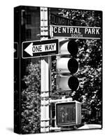 Urban Signs, Central Park, Manhattan, New York, White Frame Vintage, Full Size Photography-Philippe Hugonnard-Stretched Canvas