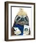 Urban Sloth-Melissa Symons-Framed Art Print