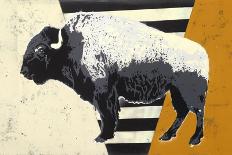 Bison-Urban Soule-Giclee Print