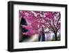 Urban Spring-George Oze-Framed Photographic Print