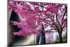 Urban Spring-George Oze-Mounted Photographic Print