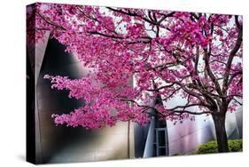 Urban Spring-George Oze-Stretched Canvas