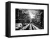 Urban Street Scene of Chelsea in Winter-Philippe Hugonnard-Framed Stretched Canvas