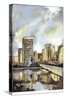 Urban Terrain II-Megan Meagher-Stretched Canvas