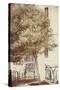 Urban Tree-Steve Allsopp-Stretched Canvas