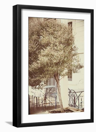 Urban Tree-Steve Allsopp-Framed Photographic Print