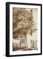 Urban Tree-Steve Allsopp-Framed Photographic Print