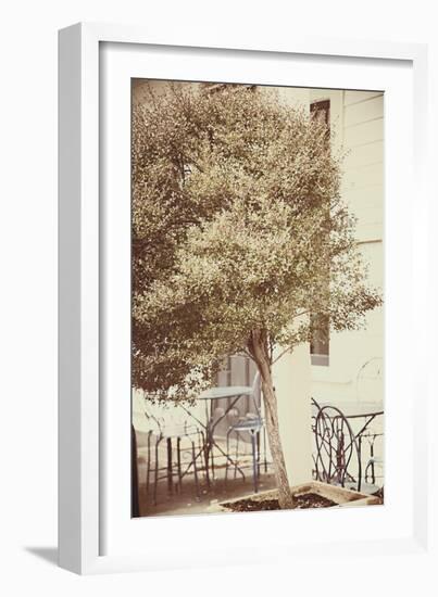 Urban Tree-Steve Allsopp-Framed Photographic Print