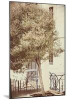 Urban Tree-Steve Allsopp-Mounted Photographic Print