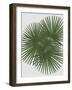 Urban Tropical - Fan-Dana Shek-Framed Giclee Print