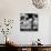 Urbania-null-Photographic Print displayed on a wall