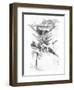 'Urbino', 1886-Joseph Pennell-Framed Giclee Print