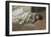 Urchin Asleep-Antonio Munoz Degrain-Framed Giclee Print