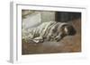 Urchin Asleep-Antonio Munoz Degrain-Framed Giclee Print