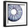 Urchin Shell 1-Sheldon Lewis-Framed Art Print