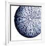 Urchin Shell 2-Sheldon Lewis-Framed Art Print