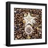 Urchin Star Sea Shells-null-Framed Art Print