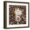 Urchin Star Sea Shells-null-Framed Art Print