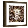 Urchin Star Sea Shells-null-Framed Art Print