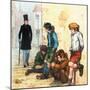 Urchins in the Cold-Alberto Salinas-Mounted Premium Giclee Print