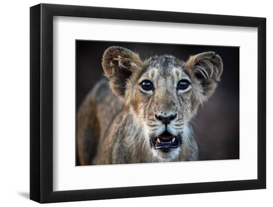 Photographic Print, , large