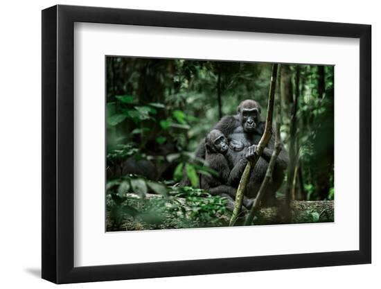 Photographic Print, , large