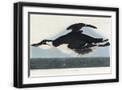 Black Frame