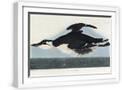White Frame